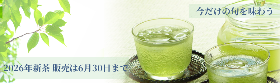 2026新茶